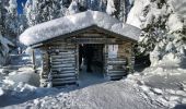 Percorso A piedi Posio - Riisin rääpäsy - Photo 2