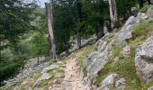Trail Walking Albertacce - Castel du Vergio refuge de Mangani - Photo 9
