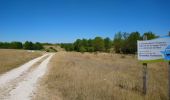 Tour Wandern Bléré - Bléré - Fontenay - 15.9km 145m 3h45 - 2022 07 31 - Photo 2