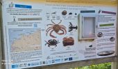 Trail Walking Saint-Pierre-en-Port - Port Saint Pierre 20250621 - Photo 1