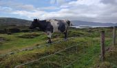 Excursión Senderismo West Cork - Ardgroom -  Eyeries - Photo 9