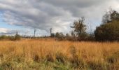 Tour Wandern Spa - petit tour entre les fagnes Malchamps et James - Photo 2