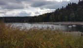 Tour Wandern Badenweiler - Tour du lac de Pierre-Percée depuis les cabanes du lac - Photo 10