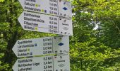 Trail Walking Bad Peterstal-Griesbach - Buhlbachsee & Lotharpfad - Photo 15