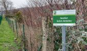 Tour Wandern Sambreville - Arsimont 270123 - Photo 13