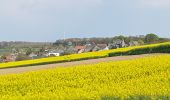 Tour Mountainbike Walcourt - Balade dans l'entité de Walcourt  - Photo 15