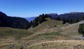 Trail Walking Saint-Pierre-de-Chartreuse - chamechine par le col de la charmette - Photo 1