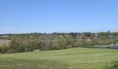 Tour Wandern Welkenrath - suuntoapp-Walking-2026-04-25T08-06-02Z - Photo 6