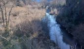 Trail Walking Les Arcs-sur-Argens - La colline de Cabredor les Arcs sur Argens, 17-01-2025 - Photo 5