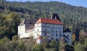 Percorso A piedi Feistritz am Wechsel - Feistritz am Wechsel - Hollabrunn über Steinbichel - Photo 10