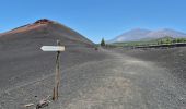 Tour Wandern El Tanque - Boucle volcan Chinyero à Tenerife  - Photo 6