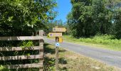 Tour Wandern Pontenx-les-Forges - PONTENX REALISÉ - Photo 7