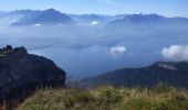 Trail Walking Beatenberg - Niederhorn - Photo 2