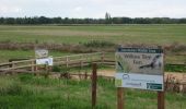 Tocht Te voet South Holland - Willow Tree Fen Blue intermediate route - Photo 4