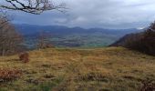 Randonnée Marche La Chapelle-en-Vercors - Serre Plumé  - Photo 12