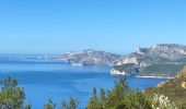 Trail Walking La Ciotat - La Ciotat Cassis par la falaise cap canaille  - Photo 7