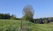 Tour Wandern Welkenrath - suuntoapp-Walking-2026-04-25T08-06-02Z - Photo 8