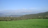 Trail Walking Estella-Lizarra - Camino Francés - Etp6 - Estella - Los Arcos - Photo 1