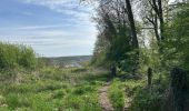 Tour Wandern Ottignies-Louvain-la-Neuve - #240412 - 3 bois : de Bustons, des Corbeaux et des Volontaires (courte) - Photo 13