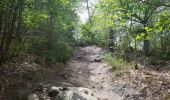 Tour Wandern Bruyères-le-Châtel - Essonne_Fontenay-Les-Briis=>LaRocheTurpin - Photo 3