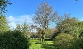 Tour Wandern Overijse - #230220 - Terlanen, Schaatbroekbos, GR579 - Photo 13