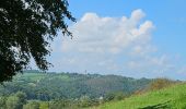 Tocht Stappen Dison - Andrimont - Nez de Napoléon  - Limbourg - Photo 5