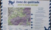 Tour Wandern Büssing - Circuit col de bussang / tête de la Bouloie - Photo 2