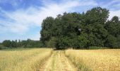 Tour Wandern Launaguet - TT21 Fonbeauzard Borderouge - Photo 1