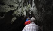 Excursión Senderismo Cheval-Blanc - Wikiloc - Etroit et tellement de cigales - Photo 3