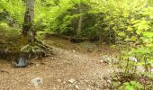 Tour Wandern Romeyer - Col des Bachassons depuis Romeyer - Photo 11