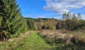 Tour Wandern Feitweiler - rando fauvillers 22-10-2024 - Photo 1