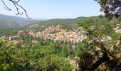 Randonnée Marche Vernet-les-Bains - Pic de la Pena - Photo 1