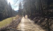 Trail On foot Saint-Gervais - Le Rivet ou la ferme des Ecouges - Photo 6