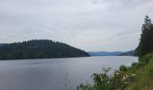 Tocht Stappen Schluchsee - Forêt Noire : tour du lac Schluchsee - Photo 9