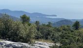 Excursión  Signes - Sioux blanc aven du châtaignier  - Photo 4