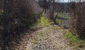 Tocht Stappen Chapdes-Beaufort - 2020-03-15 13:00:18 Jour - Photo 2