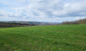 Trail Walking La Roche-en-Ardenne - Samree 190324 - Photo 17