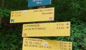 Tour Wandern Le Frasnois - Lac de Narlay - Pic de l'Aigle - Photo 4