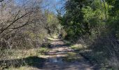 Trail  Cabasse - Cabasse le dolmen - Photo 2