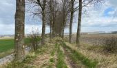 Tour Wandern Sluis - Sluis 19,4 km - Photo 8