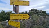 Trail Walking Feuilla - Feuilla - Roquefort des Corbières( Aude ) - Photo 7