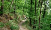 Tocht Stappen Dison - 4821 Andrimont (Verviers) 15Km marche adeps du 15/05/2022 - Photo 5