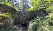 Trail Walking Samois-sur-Seine - Balade 21 km Fontainebleau - Boucle à partir de Samois - Photo 10