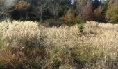 Percorso Marcia Habay - Le grand ruisseau - Photo 3