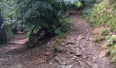 Trail Walking Spa - roche plate . pavillon Hesse . thermes . parc des 7 heures - Photo 19