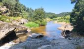 Randonnée Marche Peyre en Aubrac - Javols - Photo 3