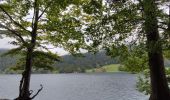 Trail Walking Gemeinde Scheffau am Wilden Kaiser - Hintersteinersee - Photo 9