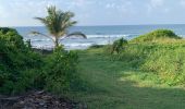 Tocht Lopen Sainte-Anne - Bois Jolan le littoral  - Photo 10