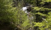 Trail Walking Torla-Ordesa - cascade estrecho - Photo 20