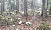 Tocht Noords wandelen Corrençon-en-Vercors - la glacière - Photo 4